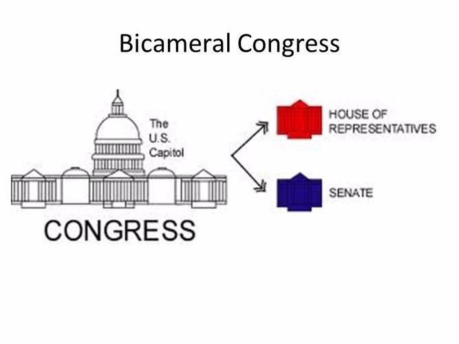 The Bicameral System Poolitician Plunging Into Politics